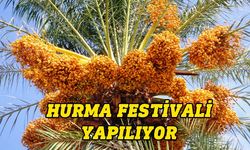 Lefke Hurma Festivali Pazar günü yapılacak