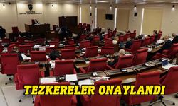 Genel Kurul'da tezkereler onaylandı