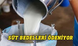 SÜTEK, çiğ süt bedellerini bugün ödüyor