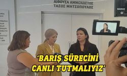 TDP heyeti, DİSİ Genel Başkanı Demetriou ile görüştü