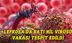 Sağlık Bakanlığı Lefkoşa’da Batı Nil virüsü vakası tespit edildiğini açıkladı