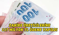 TÜK, zahire üreticilerine 117 milyon TL ödeme yaptı