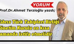 Prof.Dr.Ahmet Terzioğlu yazdı: Tabipler Birliği'nde neler oluyor?