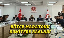 2024 Mali Yılı Merkezi Devlet Yönetimi Bütçe Yasa Tasarısı komitede görüşülüyor