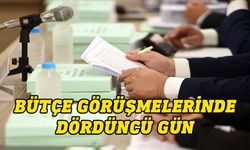 Başbakan Yardımcılığı, Turizm, Kültür, Gençlik ve Çevre Bakanlığı bütçesi Komite’de görüşülüyor