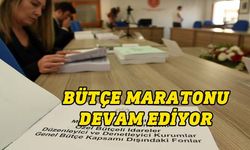 Komitede Kamu Hizmeti Komisyonu Başkanlığı bütçesi ele alınıyor