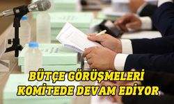 Sivil Savunma Teşkilatı Başkanlığı bütçesi komitede oy birliğiyle onaylandı