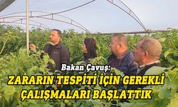 Tarım Bakanı Çavuş, zarar gören seralarda incelemelerde bulundu