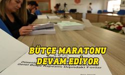 Komitede Eğitim Bakanlığı bütçesi görüşülüyor