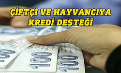 Çiftçi ve hayvancıya faiz destekli kredi verilecek