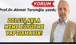 Prof.Dr. Ahmet Terzioğlu yazdı: Meme büyütme, meme küçültme ve meme dikleştirmeye dair