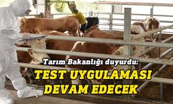 Hayvan sağlığı konusunda başlatılan test uygulaması önümüzdeki günlerde devam edecek