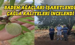 TAE'nin badem seleksiyon çalışmasında arazi ziyaretleri yapıldı