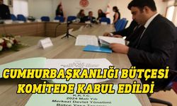 313 milyonluk Cumhurbaşkanlığı bütçesi komitede oy çokluğuyla kabul edildi