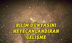 Bilim insanları Samanyolu Galaksisi'nin ötesinden gelen gizemli kozmik ışın keşfetti