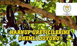 "Harnup Ürününe Destek” ödemesi için üreticiler Tarım Dairesi ve Bakanlığa ulaşmalı