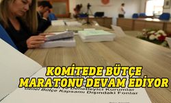 Komitede gündem Sayıştay Başkanlığı, Ombudsman, Dışişleri Bakanlığı ve bağlı kurum bütçeleri