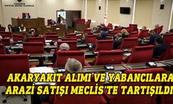 Üstel: Yabancılara mal satışına ilişkin telaş edecek yüksek rakamlar yoktur