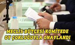 Cumhuriyet Meclisi’nin 336 milyon 798 bin 600 TL’lik bütçesi onaylandı