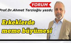 Prof. Dr. Ahmet Terzioğlu yazdı: Jinekomasti