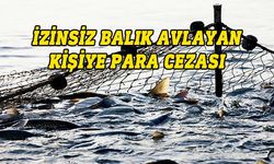 İzinsiz ağ atarak balık avlayan kişiye para cezası kesildi