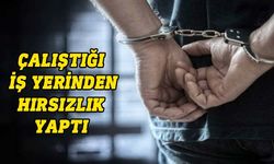 Çalıştığı işyerinden hırsızlık yapan şahıs tutuklandı