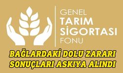 Bağlarda meydana gelen dolu zararıyla ilgili değerlendirme sonuçları askıya alındı