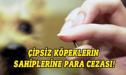 Veteriner Dairesi’nden köpeklere çip uyarısı