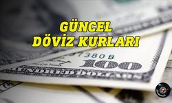 Güncel döviz kurları - 11 Haziran 2024