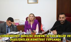 Cumhuriyet Meclisi, Hukuk, Siyasi İşler ve Dışilişkiler Komitesi toplandı