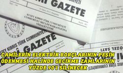 Camilerin elektrik borçlarının peşin ödenmesi halinde gecikme zamlarının yüzde 90'ı silinecek