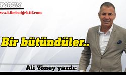 Ali Yöney, Çetinkaya-Cihangir maçını yorumladı