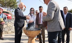 Hisarköy’de Orkide Festivali başladı