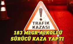 Alkollü sürücü kaza yaptı