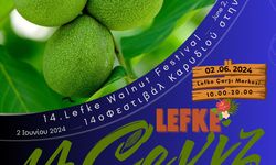 Ceviz Festivali 2 Haziran'da yapılıyor