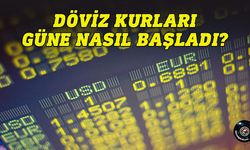 Güncel döviz kurları - 20 Mayıs 2024