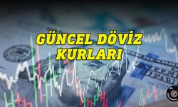 29 Kasım 2024 Cuma döviz kurları