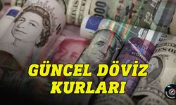 Günlük döviz kurları-30 Mayıs 2024