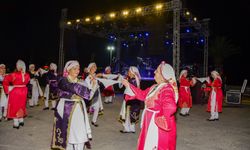 Yenierenköy-Dipkarpaz 1. Yaz Festivali başladı