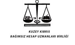 Bağımsız Hesap Uzmanları Birliği toplantı düzenliyor