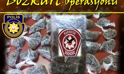 Lefkoşa’da Bozkurt Operasyonu…1 kilo 200 gram Hintkeneviri ele geçirildi