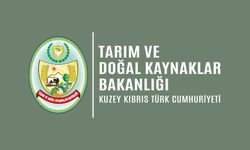 2024 Yılı Küçükbaş Hayvan Başı Desteklerinin II. taksit ödemesi yapılıyor