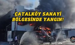 Çatalköy'de Yangın...