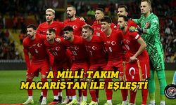 A Milli Takım'ın rakibi belli oldu!