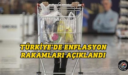 TÜFE yüzde 2,97, Yİ-ÜFE yüzde 1,37 arttı