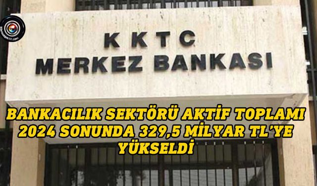 Merkez Bankası, 2024 Dördüncü Çeyrek Bülteni’ni yayınladı