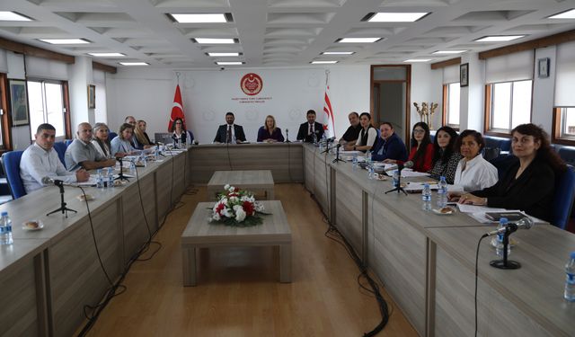 “Sosyal Hizmetler Dairesi Yasa Tasarısı” komitede görüşülüyor