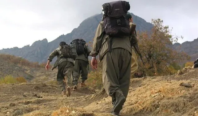 Terör örgütü PKK fesih kararı açıkladı