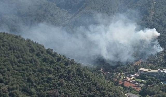 İzmir'de orman yangınları: Alevler büyüdü, müdahale sürüyor