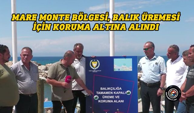 Mare Monte bölgesi, balık üremesi için koruma altına alındı